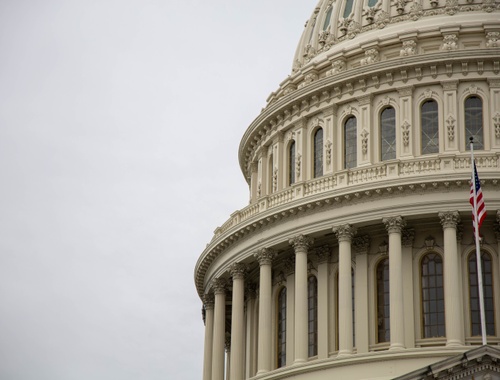 Government Employees