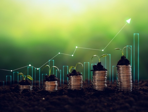 Alternative Investments