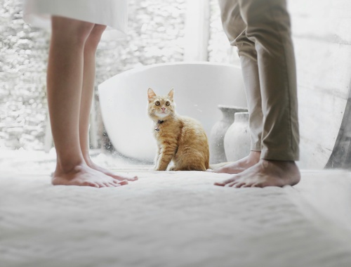 Are You Going Through a Contested Divorce?