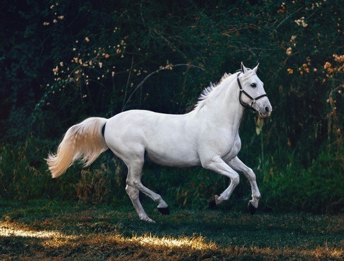 Why “Furlong” Financial Solutions?