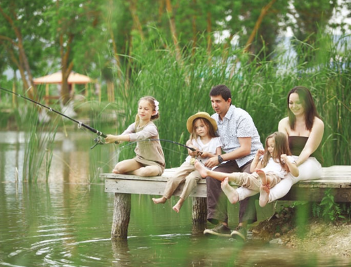 Families Planning for the Future