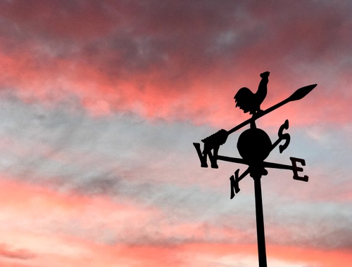 Lifelong Financial Support