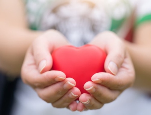 Charitable Giving/ Legacy Planning