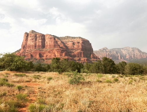 Why Transitional Wealth Planning Matters