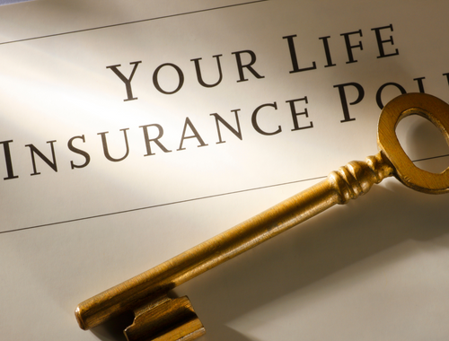 Insurance Review and Risk Management