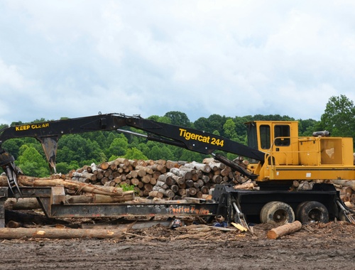 Logging & Forestry Contractors