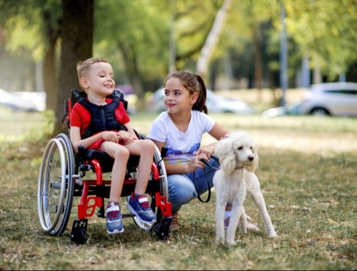 *Children with Disabilities: