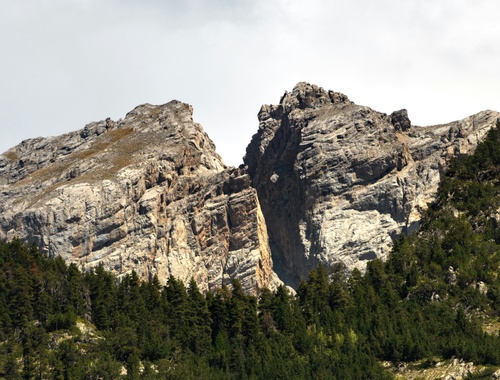 The Stewardship Gap: Why Wealth Preservation Is About More Than Investments