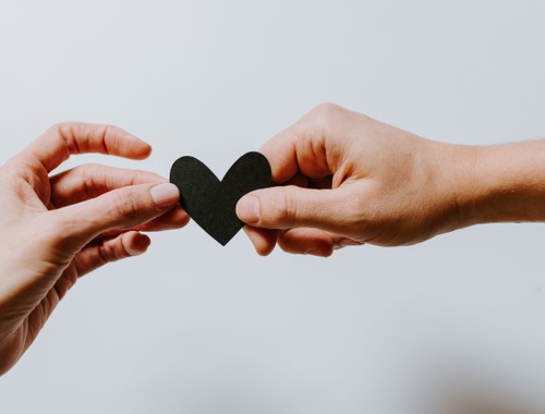      What We Do:       Trusted Resource