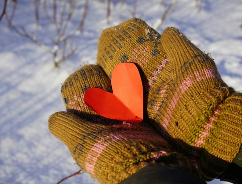 February 2026 Newsletter | Roth IRA Limits
