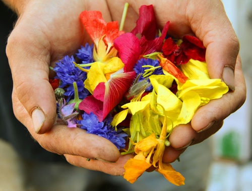 Charitable Giving/Legacy Planning