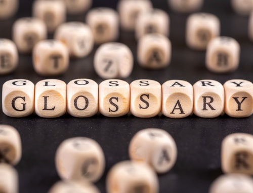 Glossary
