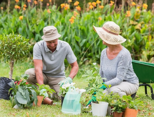 Pre-retirees & Retirees