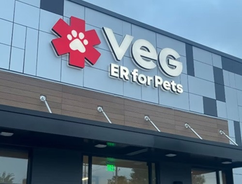 Veterinary emergency Group