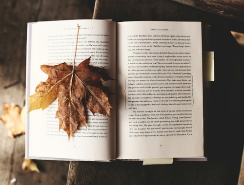 October 2024 Newsletter | Politics aside, which way is best for my bottom line?