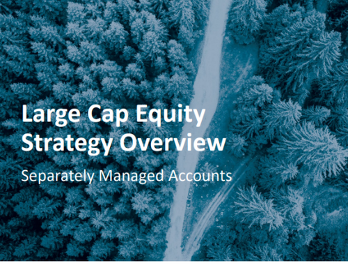 Baird Trust Large Cap Equity Strategy*