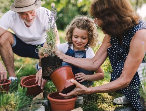 Build a Foundation on Your Values