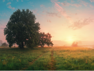 Monthly Newsletter for Business Owners