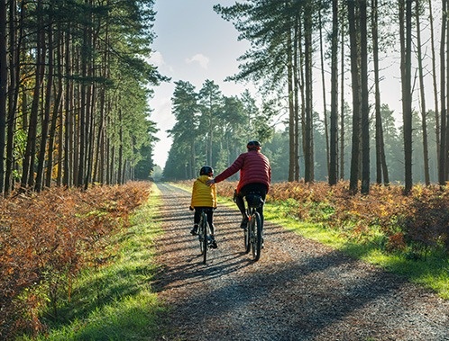 Adult and child riding bicycles