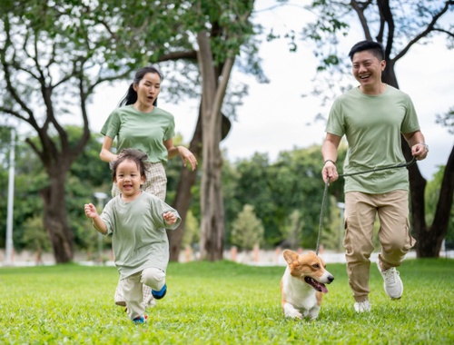 Individuals & Families