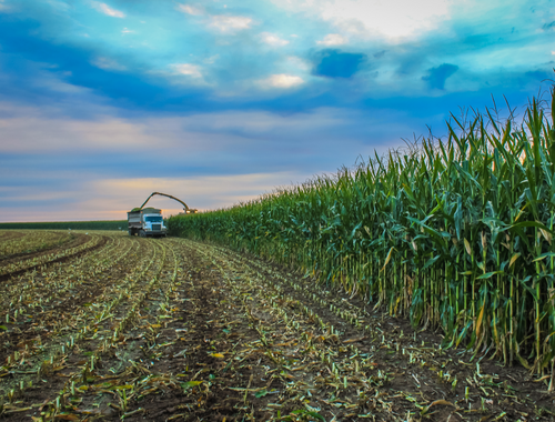 Financial Peace of Mind