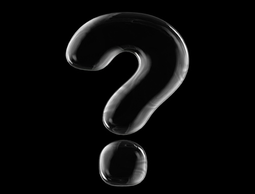 Have More Questions?