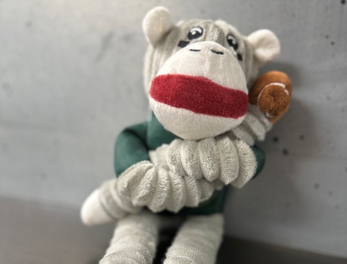 Meet Waldo