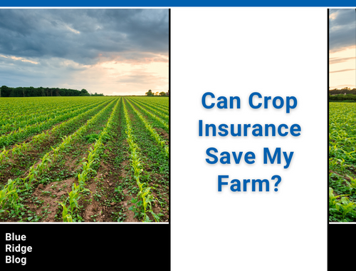 Can Crop Insurance Save My Farm?