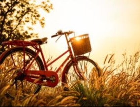 Bicycle in a field at sunset