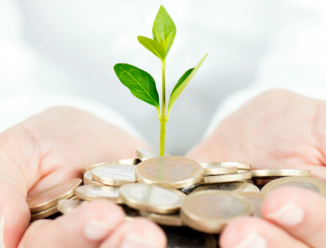 Wealth Accumulation & Investing