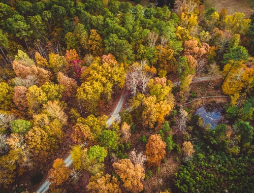 Chapel Hill