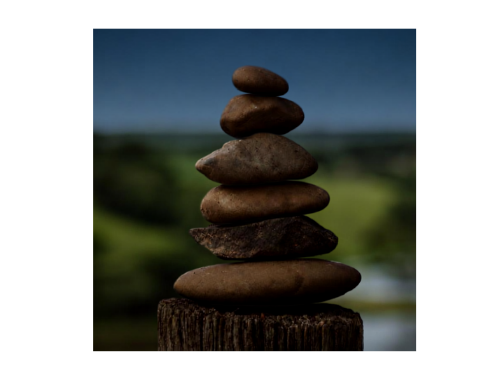 What We DoWe Help You Answer Your Most Important Financial Questions