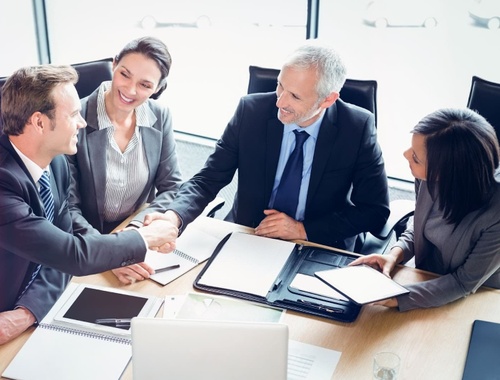 CPAs, Accounting Professionals