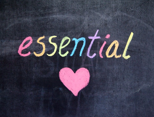 The Essentials Plan