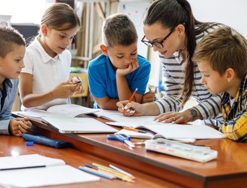 Teachers & Educators<br/>