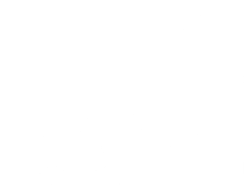 SEI Investor Portal