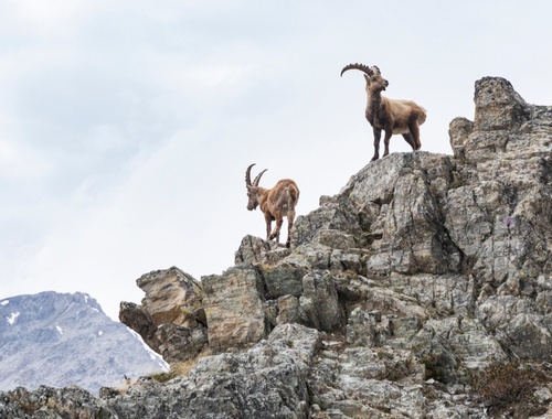 climbing to new horizons