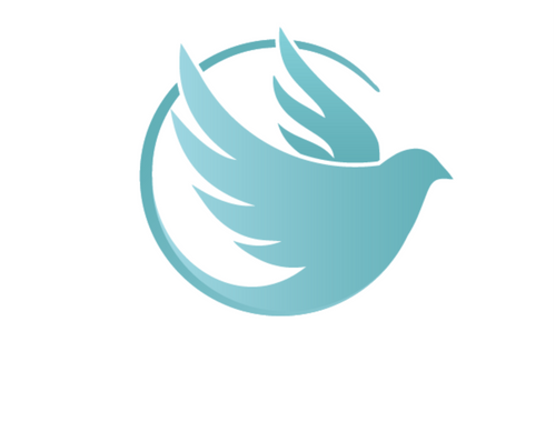 What is a Consilium?
