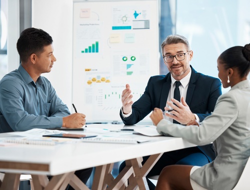 High-Income Professionals