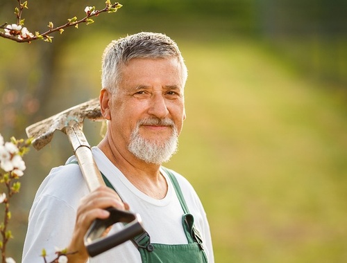 Social Security Timing