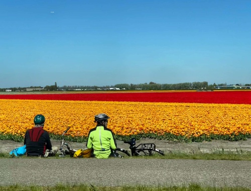 Enjoying the Beautiful Fields of Flowers