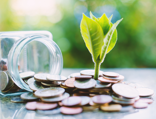 Charitable Organizations: