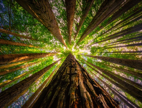 Growth and Exit Focus