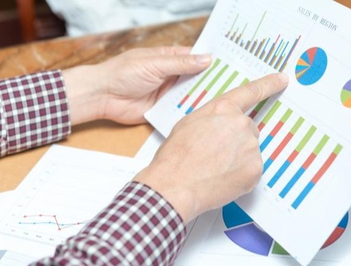 Looking at Charts and Numbers