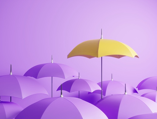 Insurance