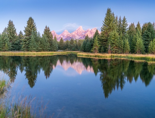 About WHITE PINE WEALTH ADVISORS
