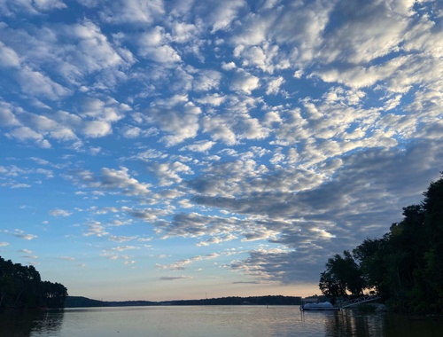 Ready to Get Started? 