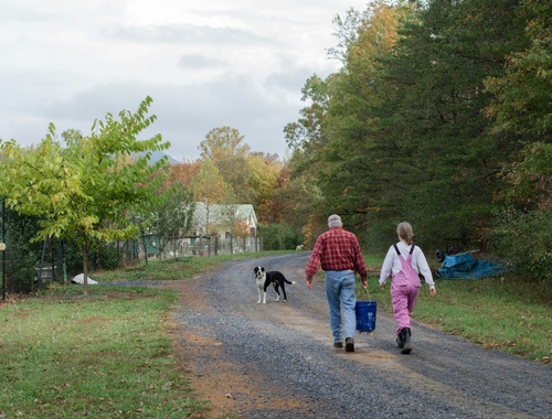 Don't Let Your Retirement Account Sit on the Sidelines