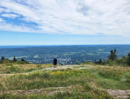 Amazing View