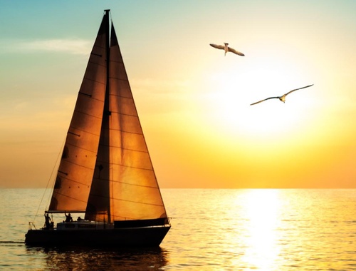 Sailboat at sunset with seagulls
